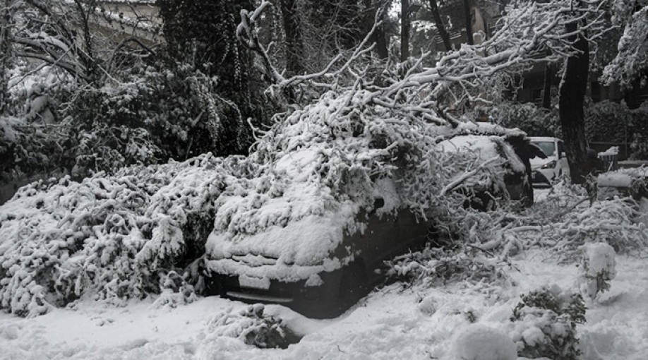&Alpha;&pi;&rho;&omicron;&epsilon;&tau;&omicron;ί&mu;&alpha;&sigma;&tau;&omicron;&iota; &omicron;&iota; &delta;ή&mu;&omicron;&iota; &gamma;&iota;&alpha; &phi;&upsilon;&sigma;&iota;&kappa;έ&sigmaf; &kappa;&alpha;&tau;&alpha;&sigma;&tau;&rho;&omicron;&phi;έ&sigmaf;