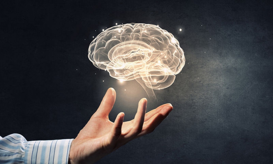 &Delta;&iota;&alpha;&delta;&iota;&kappa;&tau;&upsilon;&alpha;&kappa;ό &sigma;&epsilon;&mu;&iota;&nu;ά&rho;&iota;&omicron; &gamma;&iota;&alpha; &tau;&eta;&nu; &phi;&rho;&omicron;&nu;&tau;ί&delta;&alpha; &alpha;&nu;&theta;&rho;ώ&pi;&omega;&nu; &mu;&epsilon; ά&nu;&omicron;&iota;&alpha; &sigma;&tau;&omicron;&nu; &Delta;ή&mu;&omicron; &Eta;&rho;&alpha;&kappa;&lambda;&epsilon;ί&omicron;&upsilon;