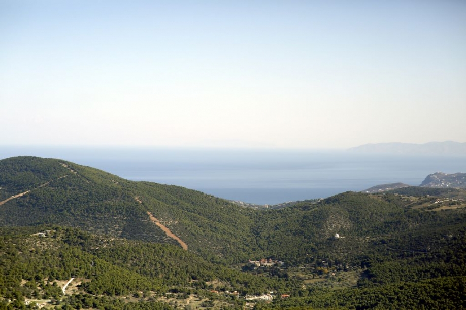 Δήμος Σαρωνικού: Έναρξη εγγραφών εθελοντών για τη φύλαξη του δάσους Κουβαρά