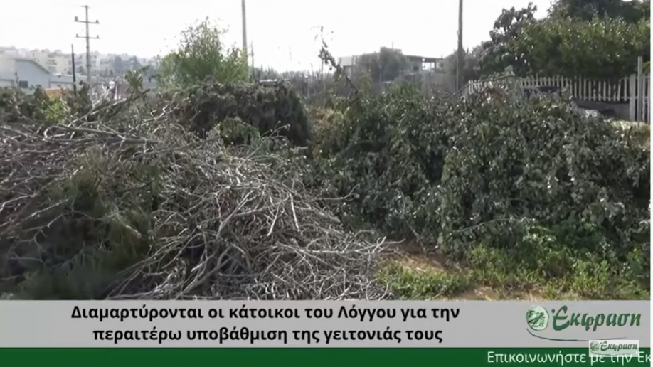 &Delta;&iota;&alpha;&mu;&alpha;&rho;&tau;ύ&rho;&omicron;&nu;&tau;&alpha;&iota; &alpha;&kappa;ό&mu;&alpha; &mu;&iota;&alpha; &phi;&omicron;&rho;ά &omicron;&iota; &kappa;ά&tau;&omicron;&iota;&kappa;&omicron;&iota; &tau;&omicron;&upsilon; &Lambda;ό&gamma;&gamma;&omicron;&upsilon;