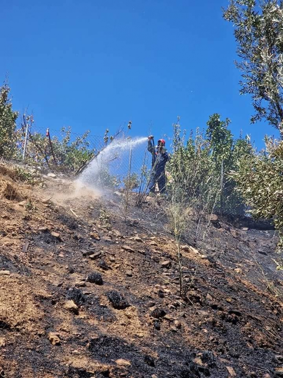 &Upsilon;&pi;ό έ&lambda;&epsilon;&gamma;&chi;&omicron; &tau;έ&theta;&eta;&kappa;&epsilon; &eta; &phi;&omega;&tau;&iota;ά &sigma;&tau;&eta;&nu; &Pi;&alpha;&lambda;&lambda;ή&nu;&eta; (&phi;&omega;&tau;&omicron;&gamma;&rho;&alpha;&phi;ί&epsilon;&sigmaf;)