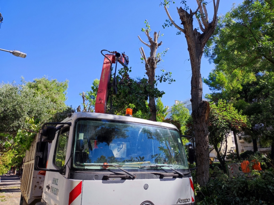 &Tau;&alpha; &pi;&alpha;&iota;&delta;&iota;ά &tau;&omicron;&upsilon; 9&omicron;&upsilon; &kappa;&alpha;&iota; 10&omicron;&upsilon; &Delta;&eta;&mu;&omicron;&tau;&iota;&kappa;&omicron;ύ &Eta;&rho;&alpha;&kappa;&lambda;&epsilon;ί&omicron;&upsilon; &Alpha;&tau;&tau;&iota;&kappa;ή&sigmaf; &pi;&epsilon;&rho;&iota;&pi;&omicron;&iota;ή&theta;&eta;&kappa;&alpha;&nu; &tau;&omicron; &pi;ά&rho;&kappa;&omicron; &tau;&eta;&sigmaf; &pi;&lambda;&alpha;&tau;&epsilon;ί&alpha;&sigmaf; &Mu;&alpha;&kappa;&epsilon;&delta;&omicron;&nu;ί&alpha;&sigmaf;