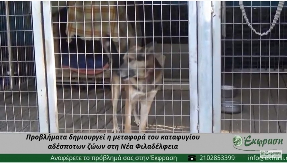 &Phi;&iota;&lambda;&omicron;&zeta;&omega;&iota;&kappa;ό&sigmaf; &Sigma;ύ&lambda;&lambda;&omicron;&gamma;&omicron;&sigmaf; &Nu;έ&alpha;&sigmaf; &Phi;&iota;&lambda;&alpha;&delta;έ&lambda;&phi;&epsilon;&iota;&alpha;&sigmaf;: &Pi;&rho;&omicron;&sigmaf; &alpha;&pi;&omicron;&kappa;&alpha;&tau;ά&sigma;&tau;&alpha;&sigma;&eta; &tau;&eta;&sigmaf; &alpha;&lambda;ή&theta;&epsilon;&iota;&alpha;&sigmaf;