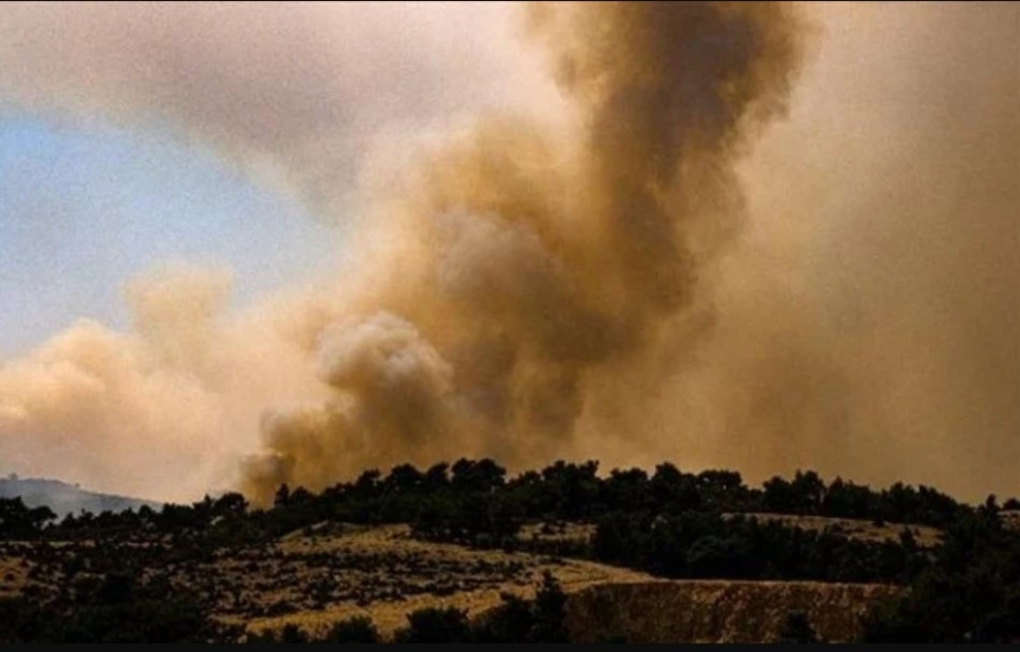 Ξεκίνησε η υποβολή αιτήσεων για έκτακτη οικονομική ενίσχυση πυρόπληκτων Δήμου Παλλήνης