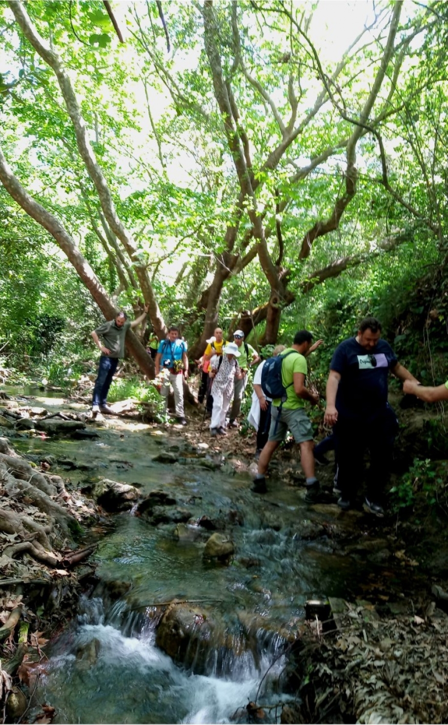 Με τη συμμετοχή εκατοντάδων περιηγητών στη Ρεματιά η έναρξη της 8ης Γιορτής Περιβάλλοντος του Δήμου Βριλησσίων