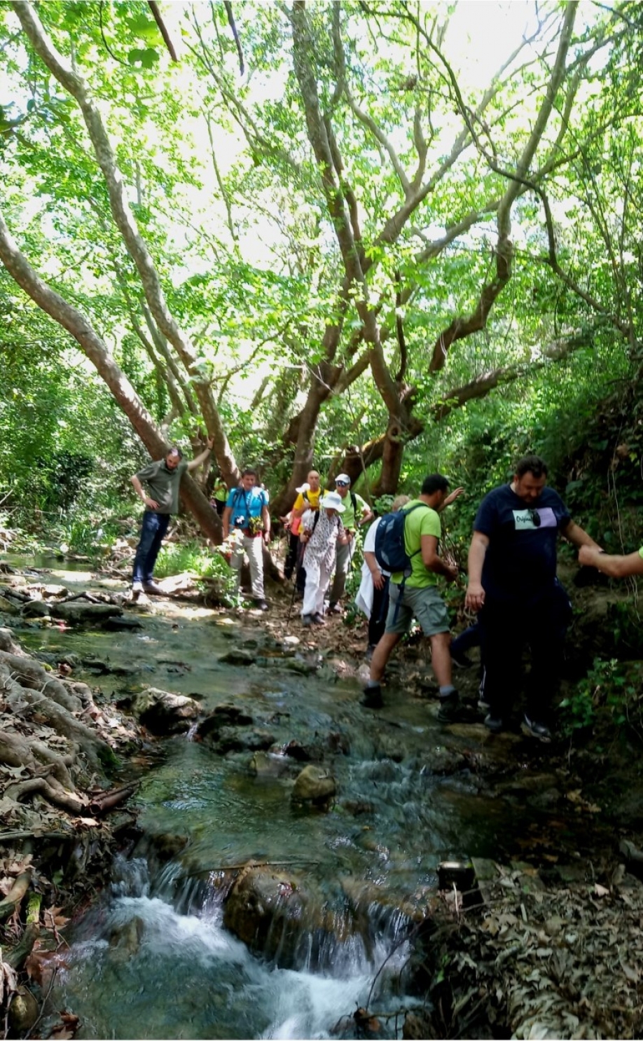 &Mu;&epsilon; &tau;&eta; &sigma;&upsilon;&mu;&mu;&epsilon;&tau;&omicron;&chi;ή &epsilon;&kappa;&alpha;&tau;&omicron;&nu;&tau;ά&delta;&omega;&nu; &pi;&epsilon;&rho;&iota;&eta;&gamma;&eta;&tau;ώ&nu; &sigma;&tau;&eta; &Rho;&epsilon;&mu;&alpha;&tau;&iota;ά &eta; έ&nu;&alpha;&rho;&xi;&eta; &tau;&eta;&sigmaf; 8&eta;&sigmaf; &Gamma;&iota;&omicron;&rho;&tau;ή&sigmaf; &Pi;&epsilon;&rho;&iota;&beta;ά&lambda;&lambda;&omicron;&nu;&tau;&omicron;&sigmaf; &tau;&omicron;&upsilon; &Delta;ή&mu;&omicron;&upsilon; &Beta;&rho;&iota;&lambda;&eta;&sigma;&sigma;ί&omega;&nu;