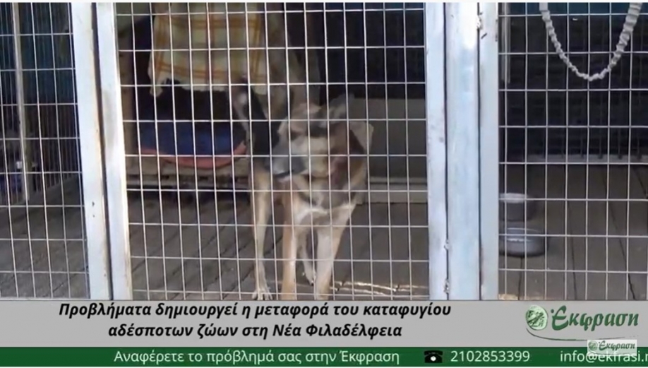 &Pi;&rho;&omicron;&beta;&lambda;ή&mu;&alpha;&tau;&alpha; &delta;&eta;&mu;&iota;&omicron;&upsilon;&rho;&gamma;&epsilon;ί &eta; &mu;&epsilon;&tau;&alpha;&phi;&omicron;&rho;ά &tau;&omicron;&upsilon; &kappa;&alpha;&tau;&alpha;&phi;&upsilon;&gamma;ί&omicron;&upsilon; &alpha;&delta;έ&sigma;&pi;&omicron;&tau;&omega;&nu; &zeta;ώ&omega;&nu; &alpha;&pi;ό &tau;&omicron; ά&lambda;&sigma;&omicron;&sigmaf; (&beta;ί&nu;&tau;&epsilon;&omicron;)