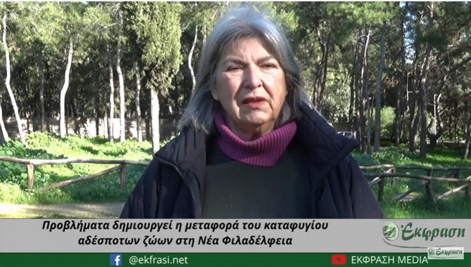 &Pi;&rho;&omicron;&beta;&lambda;ή&mu;&alpha;&tau;&alpha; &delta;&eta;&mu;&iota;&omicron;&upsilon;&rho;&gamma;&epsilon;ί &eta; &mu;&epsilon;&tau;&alpha;&phi;&omicron;&rho;ά &tau;&omicron;&upsilon; &kappa;&alpha;&tau;&alpha;&phi;&upsilon;&gamma;ί&omicron;&upsilon; &alpha;&delta;έ&sigma;&pi;&omicron;&tau;&omega;&nu; &zeta;ώ&omega;&nu; &alpha;&pi;ό &tau;&omicron; ά&lambda;&sigma;&omicron;&sigmaf; (&beta;ί&nu;&tau;&epsilon;&omicron;)