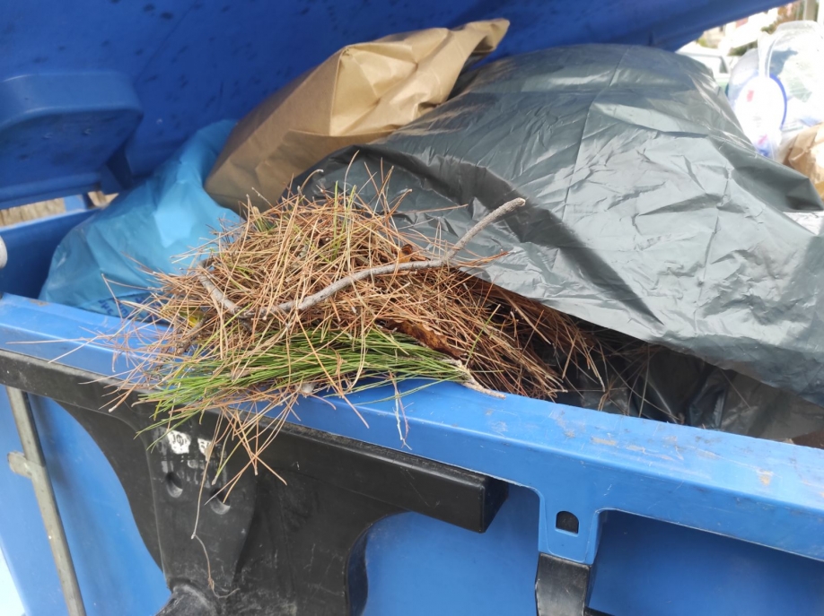 &Delta;&epsilon;&nu; &beta;ά&zeta;&omicron;&upsilon;&mu;&epsilon; &pi;&epsilon;&upsilon;&kappa;&omicron;&beta;&epsilon;&lambda;ό&nu;&epsilon;&sigmaf; &sigma;&tau;&eta;&nu; &alpha;&nu;&alpha;&kappa;ύ&kappa;&lambda;&omega;&sigma;&eta;!