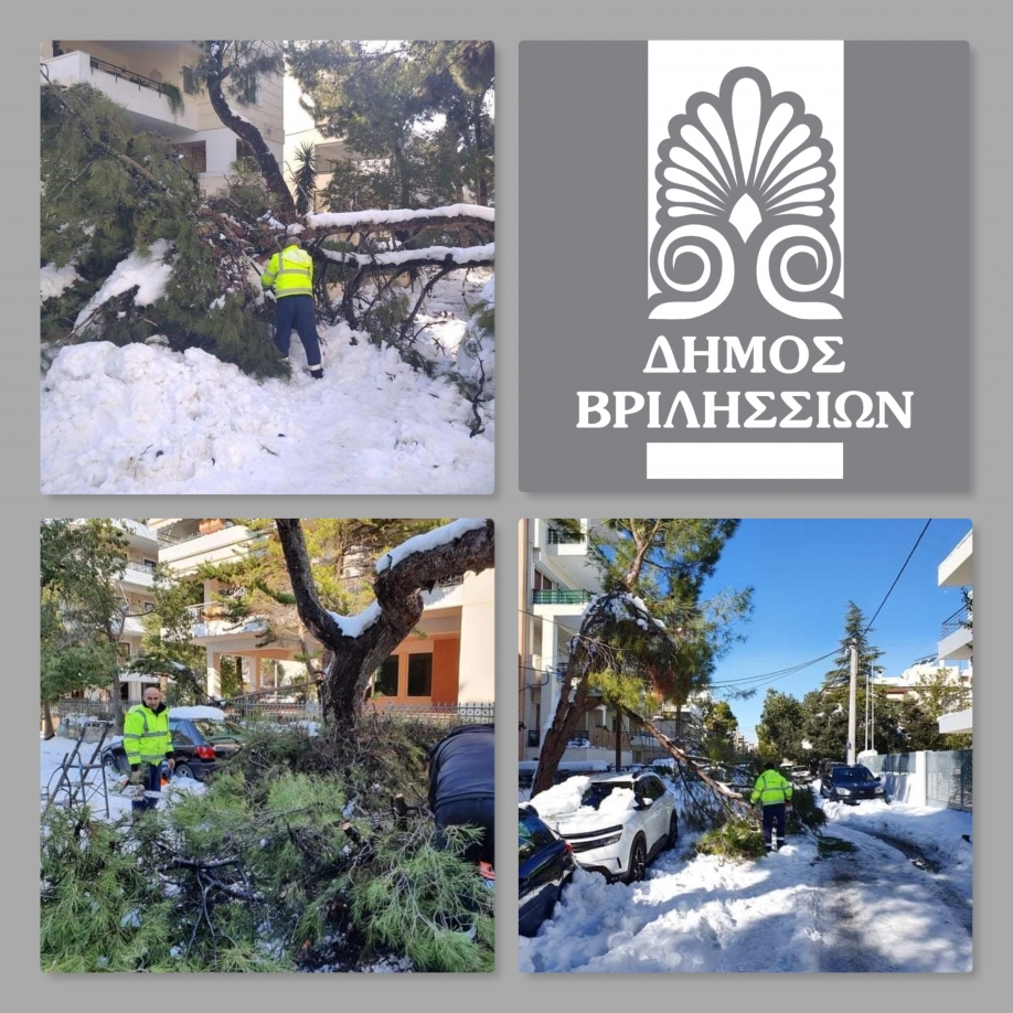 Αποζημιώσεις από τον Δήμο Βριλησσίων σε κατοίκους που υπέστησαν ζημιές από πτώση δέντρου