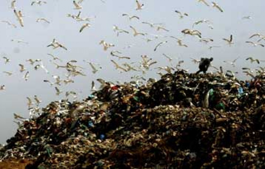 &Omicron;&Chi;&Iota; &sigma;&tau;&eta; &mu;&epsilon;&tau;&alpha;&phi;&omicron;&rho;ά &tau;&omicron;&upsilon; &alpha;&mu;&alpha;&xi;&omicron;&sigma;&tau;&alpha;&sigma;ί&omicron;&upsilon; &tau;&omicron;&upsilon; &Delta;ή&mu;&omicron;&upsilon; &Beta;&rho;&iota;&lambda;&eta;&sigma;&sigma;ί&omega;&nu; &epsilon;&nu;&tau;ό&sigmaf; &tau;&omicron;&upsilon; &Delta;ή&mu;&omicron;&upsilon; &Pi;&alpha;&lambda;&lambda;ή&nu;&eta;&sigmaf; &alpha;&pi;&omicron;&phi;ά&sigma;&iota;&sigma;&epsilon; &omicron;&mu;ό&phi;&omega;&nu;&alpha; &tau;&omicron; &Delta;&eta;&mu;&omicron;&tau;&iota;&kappa;ό &Sigma;&upsilon;&mu;&beta;&omicron;ύ&lambda;&iota;&omicron;