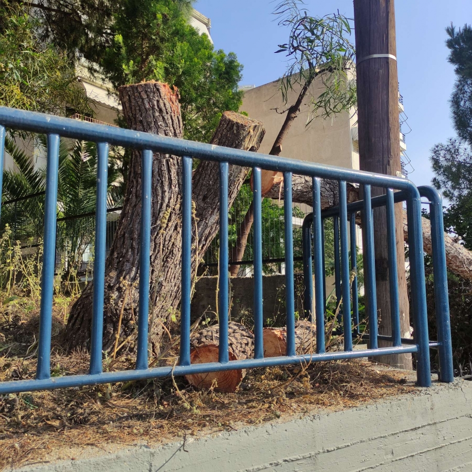 &Alpha;&upsilon;&theta;&alpha;ί&rho;&epsilon;&tau;&omicron; &kappa;ό&psi;&iota;&mu;&omicron; &mu;&epsilon;&gamma;ά&lambda;&omicron;&upsilon; &pi;&epsilon;ύ&kappa;&omicron;&upsilon; &kappa;&alpha;&tau;&alpha;&gamma;&gamma;έ&lambda;&omicron;&upsilon;&nu; &kappa;ά&tau;&omicron;&iota;&kappa;&omicron;&iota; &tau;&eta;&sigmaf; &omicron;&delta;&omicron;ύ &Delta;&epsilon;&xi;&alpha;&mu;&epsilon;&nu;ή&sigmaf;