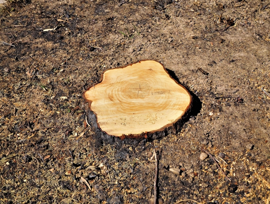 &ldquo;&Xi;&epsilon;&kappa;ί&nu;&eta;&sigma;&epsilon; &omicron; &chi;&omicron;&rho;ό&sigmaf; &tau;&omega;&nu; &epsilon;&pi;&iota;&kappa;&epsilon;&rho;&delta;ώ&nu; &epsilon;&rho;&gamma;&omicron;&lambda;&alpha;&beta;&iota;ώ&nu; &sigma;&tau;&eta;&nu; &Pi;&epsilon;&nu;&tau;έ&lambda;&eta;&rdquo; &kappa;&alpha;&tau;&alpha;&gamma;&gamma;έ&lambda;&lambda;&omicron;&upsilon;&nu; &sigma;ύ&lambda;&lambda;&omicron;&gamma;&omicron;&iota; &tau;&eta;&sigmaf; &pi;&epsilon;&rho;&iota;&omicron;&chi;ή&sigmaf;