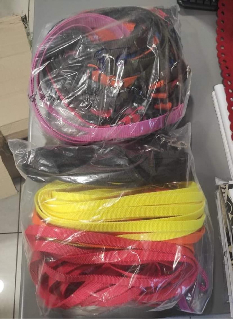 Δήμος Περάματος: Νέες δράσεις για τη βελτίωση των συνθηκών διαβίωσης των αδέσποτων ζώων της πόλης Δήμος Περάματος: Νέες δράσεις για τη βελτίωση των συνθηκών διαβίωσης των αδέσποτων ζώων της πόλης