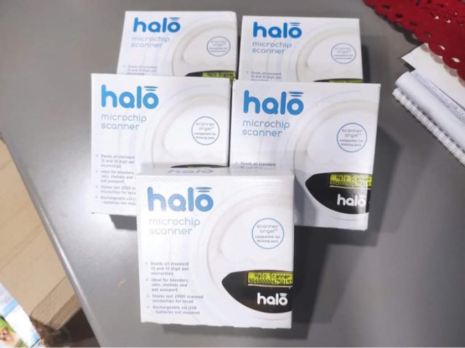 Δήμος Περάματος: Νέες δράσεις για τη βελτίωση των συνθηκών διαβίωσης των αδέσποτων ζώων της πόλης Δήμος Περάματος: Νέες δράσεις για τη βελτίωση των συνθηκών διαβίωσης των αδέσποτων ζώων της πόλης