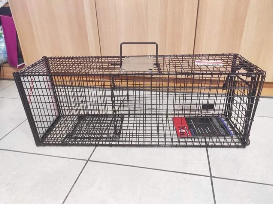 &Delta;ή&mu;&omicron;&sigmaf; &Pi;&epsilon;&rho;ά&mu;&alpha;&tau;&omicron;&sigmaf;: &Nu;έ&epsilon;&sigmaf; &delta;&rho;ά&sigma;&epsilon;&iota;&sigmaf; &gamma;&iota;&alpha; &tau;&eta; &beta;&epsilon;&lambda;&tau;ί&omega;&sigma;&eta; &tau;&omega;&nu; &sigma;&upsilon;&nu;&theta;&eta;&kappa;ώ&nu; &delta;&iota;&alpha;&beta;ί&omega;&sigma;&eta;&sigmaf; &tau;&omega;&nu; &alpha;&delta;έ&sigma;&pi;&omicron;&tau;&omega;&nu; &zeta;ώ&omega;&nu; &tau;&eta;&sigmaf; &pi;ό&lambda;&eta;&sigmaf;