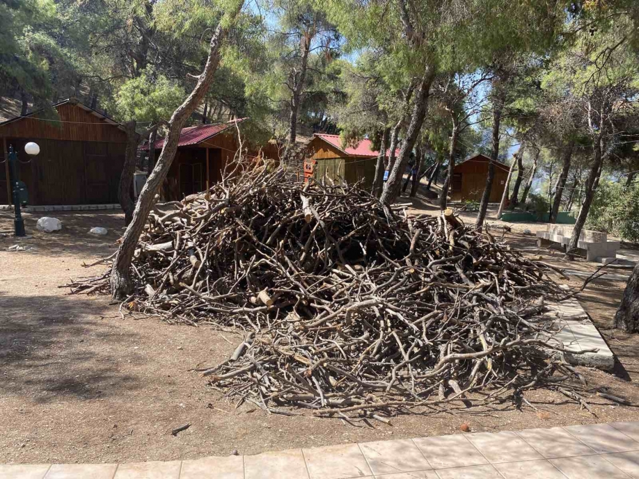 &Epsilon;&nu;ό&tau;&eta;&tau;&alpha; &gamma;&iota;&alpha; &tau;&eta; &Nu;έ&alpha; &Epsilon;&nu;ό&tau;&eta;&tau;&alpha;: &Eta; &kappa;&alpha;&tau;&alpha;&sigma;&kappa;ή&nu;&omega;&sigma;&eta; &sigma;&tau;&omicron; &Alpha;&lambda;&epsilon;&pi;&omicron;&chi;ώ&rho;&iota; &sigma;&epsilon; &tau;&epsilon;&nu;&tau;&omega;&mu;έ&nu;&omicron; &sigma;&kappa;&omicron;&iota;&nu;ί
