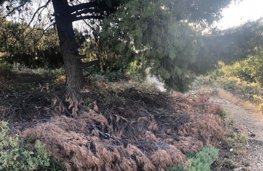 &Nu;έ&alpha; &Alpha;&rho;&chi;ή: &Omicron; &Upsilon;&mu;&eta;&tau;&tau;ό&sigmaf; &epsilon;&kappa;&pi;έ&mu;&pi;&epsilon;&iota; SOS &gamma;&iota;&alpha; &mu;έ&tau;&rho;&alpha; &pi;&upsilon;&rho;&alpha;&sigma;&phi;ά&lambda;&epsilon;&iota;&alpha;&sigmaf;