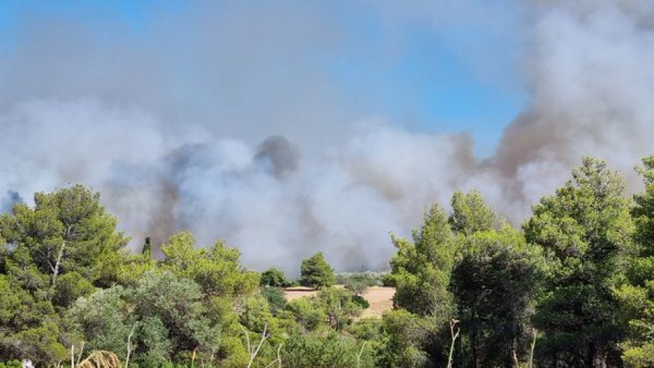 Επιστρέφουν προληπτικά τα παιδιά των κατασκηνώσεων του Δ. Νέας Ιωνίας