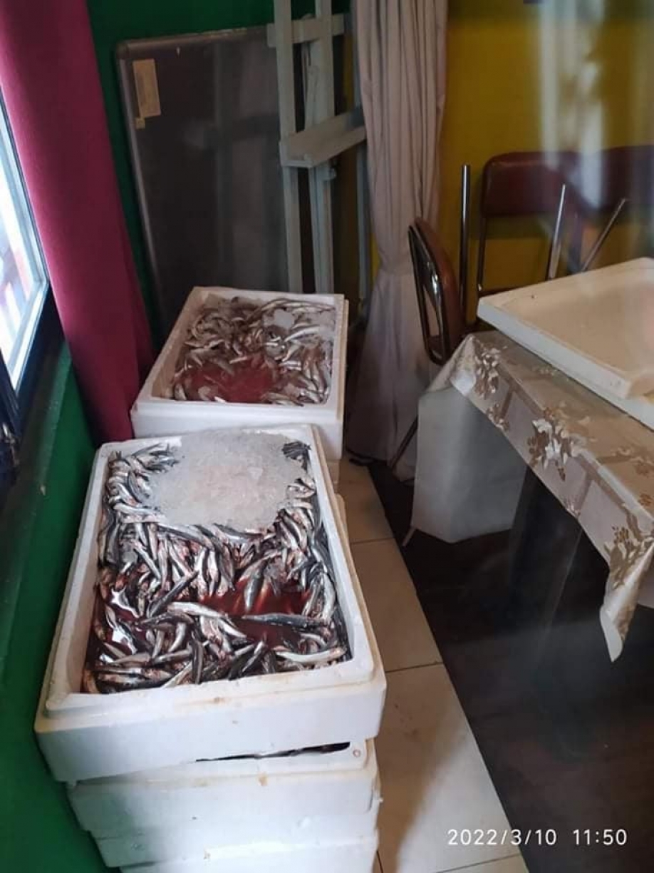 &Nu;έ&alpha; &pi;&alpha;&rho;ά&delta;&omicron;&sigma;&eta; &psi;&alpha;&rho;&iota;ώ&nu; &alpha;&pi;ό &alpha;&pi;ό &tau;&eta; &Delta;&Eta;&Mu;.&Tau;.&Omicron;.&Nu;&Delta; &Nu;.&Phi;&iota;&lambda;&alpha;&delta;έ&lambda;&phi;&epsilon;&iota;&alpha;&sigmaf; - &Nu;.&Chi;&alpha;&lambda;&kappa;&eta;&delta;ό&nu;&alpha;&sigmaf; &sigma;&epsilon; &epsilon;&nu;&omicron;&rho;ί&epsilon;&sigmaf; &tau;&omicron;&upsilon; &Delta;ή&mu;&omicron;&upsilon;