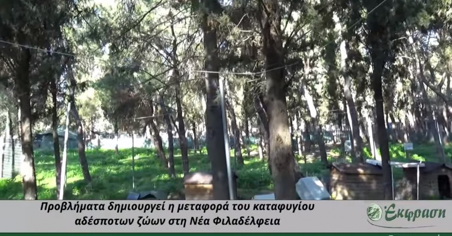 &Epsilon;&rho;ώ&tau;&eta;&sigma;&eta; &tau;&omicron;&upsilon; &Mu;&epsilon;&Rho;&Alpha; 25 &gamma;&iota;&alpha; &tau;&eta;&nu; έ&xi;&omega;&sigma;&eta; &tau;&omicron;&upsilon; &phi;&iota;&lambda;&omicron;&zeta;&omega;&iota;&kappa;&omicron;ύ &sigma;&upsilon;&lambda;&lambda;ό&gamma;&omicron;&upsilon; &Nu;. &Phi;&iota;&lambda;&alpha;&delta;έ&lambda;&phi;&epsilon;&iota;&alpha;&sigmaf; &alpha;&pi;ό &tau;&omicron; ά&lambda;&sigma;&omicron;&sigmaf;