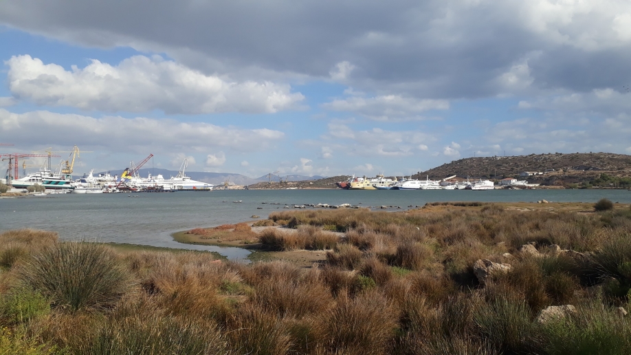 &Nu;. &Mu;&pi;&epsilon;&lambda;&alpha;&beta;ί&lambda;&alpha;&sigmaf;: &Nu;έ&omicron; master plan Cosco - &Mu;ί&alpha; &nu;έ&alpha; &kappa;&iota;&nu;&epsilon;&zeta;&iota;&kappa;ή &pi;ό&lambda;&eta; 770.000 &tau;&mu;