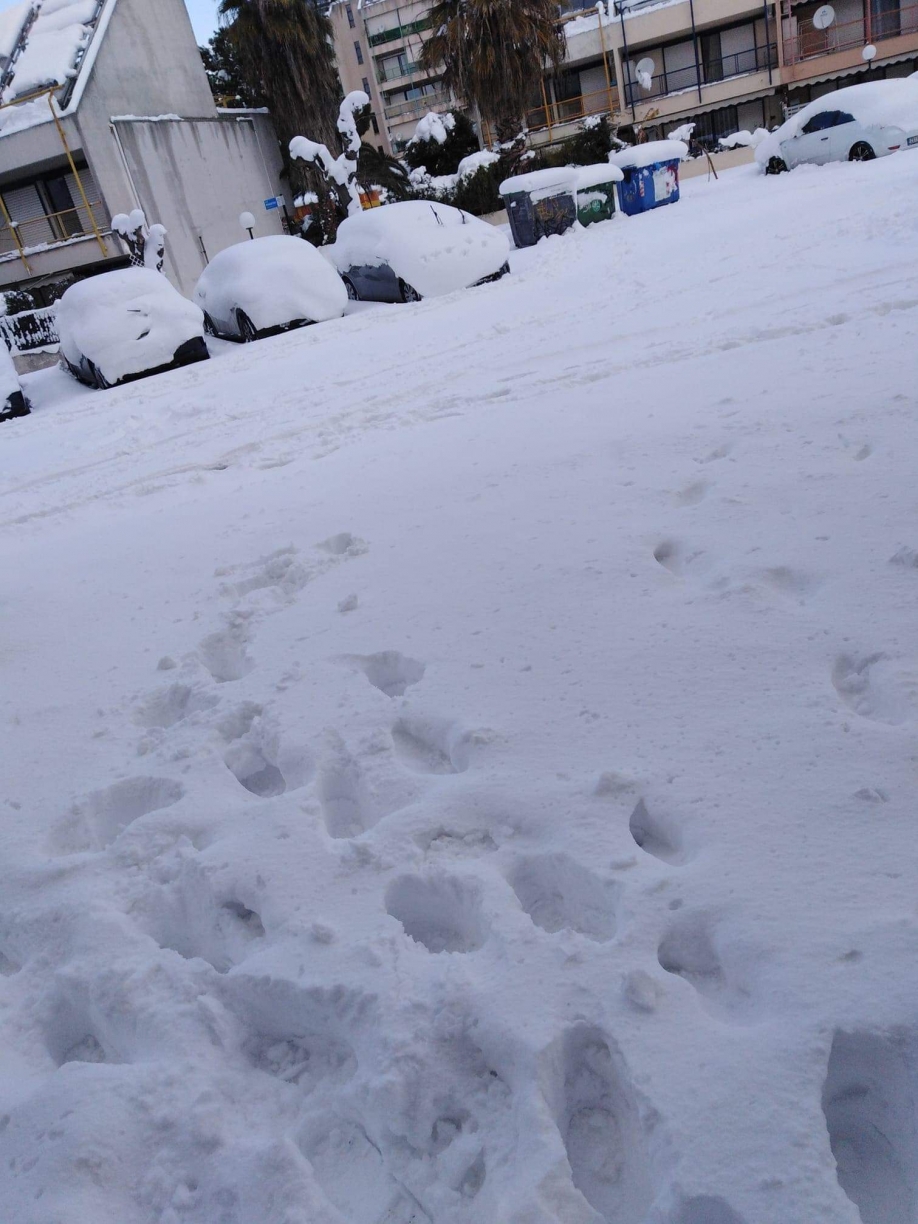&Mu;&alpha;&rho;ί&alpha; &Tau;&rho;&alpha;&gamma;ά&delta;&eta;: &Nu;ύ&chi;&tau;&alpha; &theta;&alpha; &phi;ύ&gamma;&epsilon;&tau;&epsilon;!