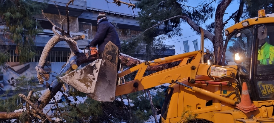 Δήμος Χαλανδρίου: Ενημέρωση για τα πεσμένα δέντρα και τα σπασμένα κλαδιά