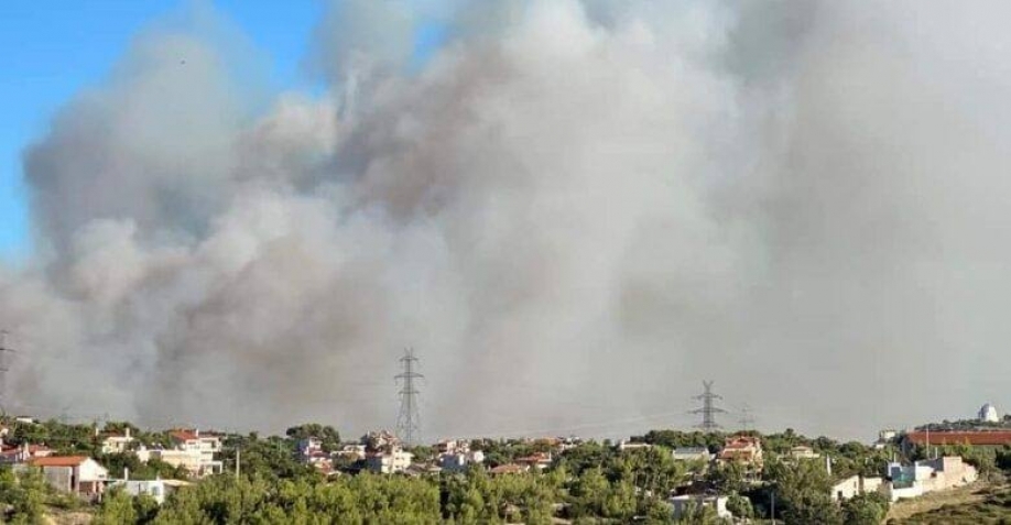 Είδη για τα αδέσποτα της πυρκαγιάς συλλέγει το ΠΑΣΟΚ Ηρακλείου