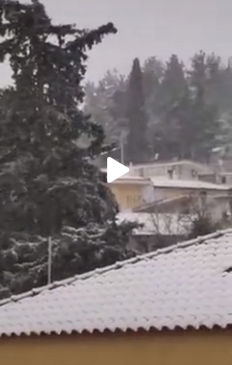 &Delta;&epsilon;&nu; &kappa;ά&nu;&epsilon;&iota; &kappa;&rho;ύ&omicron;. &Alpha;&kappa;&rho;ί&beta;&epsilon;&iota;&alpha; &kappa;&alpha;&iota; &phi;&tau;ώ&chi;&epsilon;&iota;&alpha; &kappa;ά&nu;&epsilon;&iota;