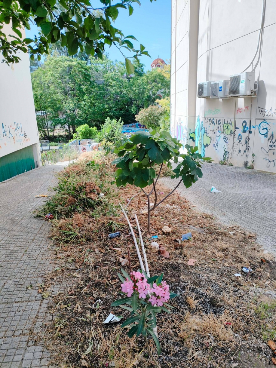 Καθάρισαν μόνοι τους το οικόπεδο και μετέφεραν τα κλαδέματα στο Δημαρχείο!