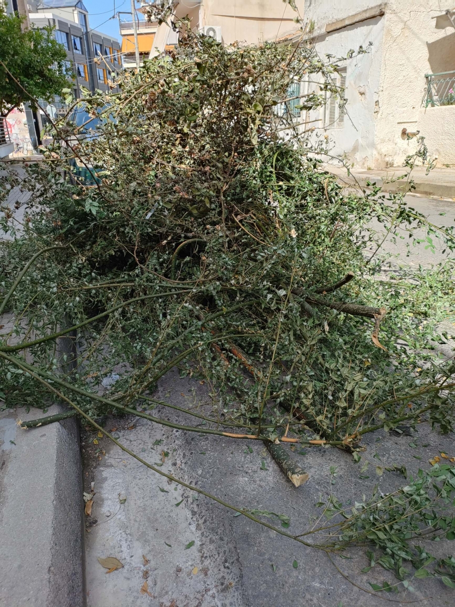 &Kappa;&alpha;&theta;ά&rho;&iota;&sigma;&alpha;&nu; &mu;ό&nu;&omicron;&iota; &tau;&omicron;&upsilon;&sigmaf; &tau;&omicron; &omicron;&iota;&kappa;ό&pi;&epsilon;&delta;&omicron; &kappa;&alpha;&iota; &mu;&epsilon;&tau;έ&phi;&epsilon;&rho;&alpha;&nu; &tau;&alpha; &kappa;&lambda;&alpha;&delta;έ&mu;&alpha;&tau;&alpha; &sigma;&tau;&omicron; &Delta;&eta;&mu;&alpha;&rho;&chi;&epsilon;ί&omicron;!